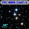 TYC 4000-2107-1