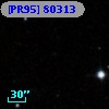 [PR95] 80313