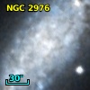 NGC  2976