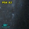 PSK  42