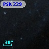 PSK 229