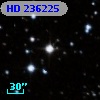 HD 236225