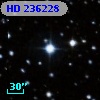 HD 236228