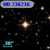 HD 236216