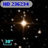 HD 236234