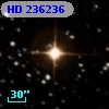 HD 236236