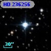 HD 236256