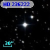 HD 236222
