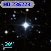 HD 236223