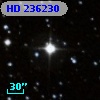 HD 236230