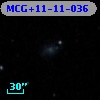 MCG+11-11-036