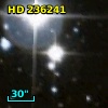 HD 236241