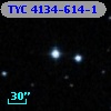 TYC 4134-614-1