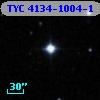 TYC 4134-1004-1