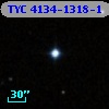 TYC 4134-1318-1