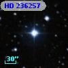 HD 236257