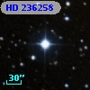 HD 236258