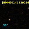 zCOSMOS 833452