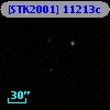 [STK2001] 11213c