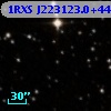1RXS J223123.0+442100