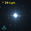 *  29 Lyn
