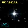 HD 236213