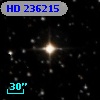HD 236215