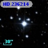 HD 236214