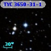 TYC 3650-31-1