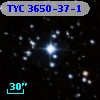 TYC 3650-37-1