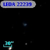 LEDA   22239