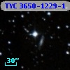 TYC 3650-1229-1