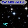 TYC 3651-919-1