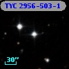 TYC 2956-503-1