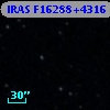 IRAS F16288+4316