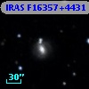 IRAS F16357+4431
