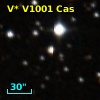 V* V1001 Cas