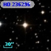 HD 236296