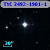 TYC 3492-1901-1