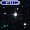 HD 236300