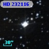 HD 232116