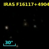 IRAS F16117+4904