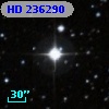 HD 236290