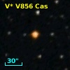 V* V856 Cas