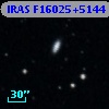 IRAS F16025+5144
