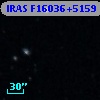 IRAS F16036+5159
