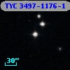 TYC 3497-1176-1