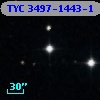 TYC 3497-1443-1