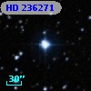 HD 236271