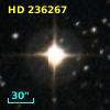 HD 236267